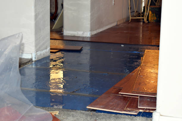 Professional Sewage Cleanup technician working in Pinconning, MI